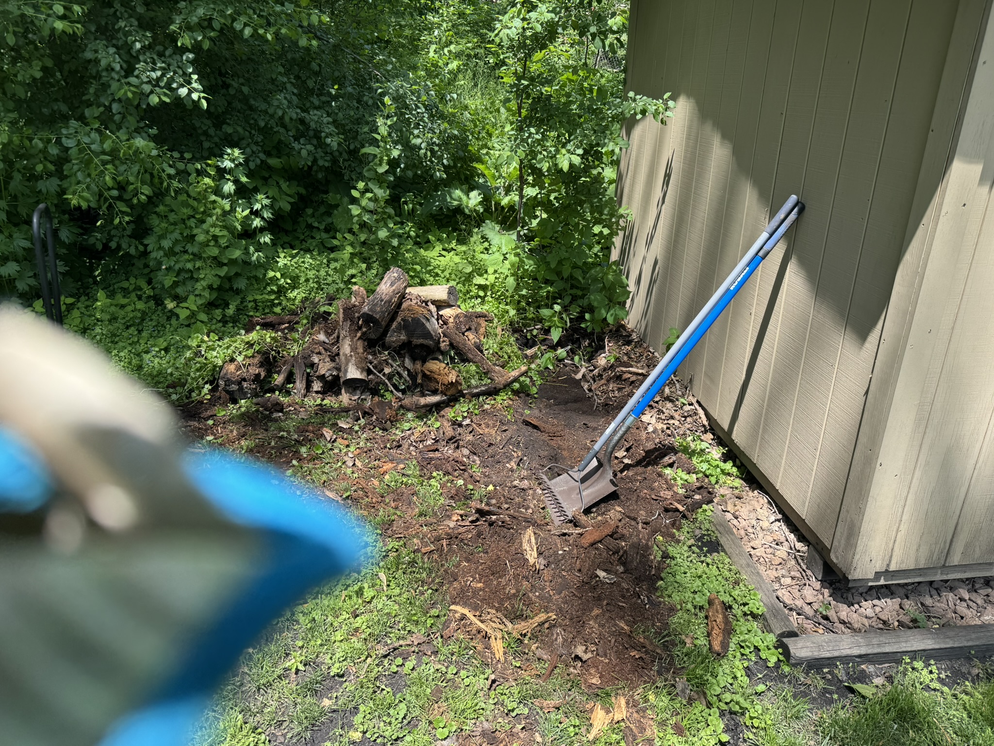 Rotted timbers and debris cleared out from under a storage shed in Minnetonka Minnesota