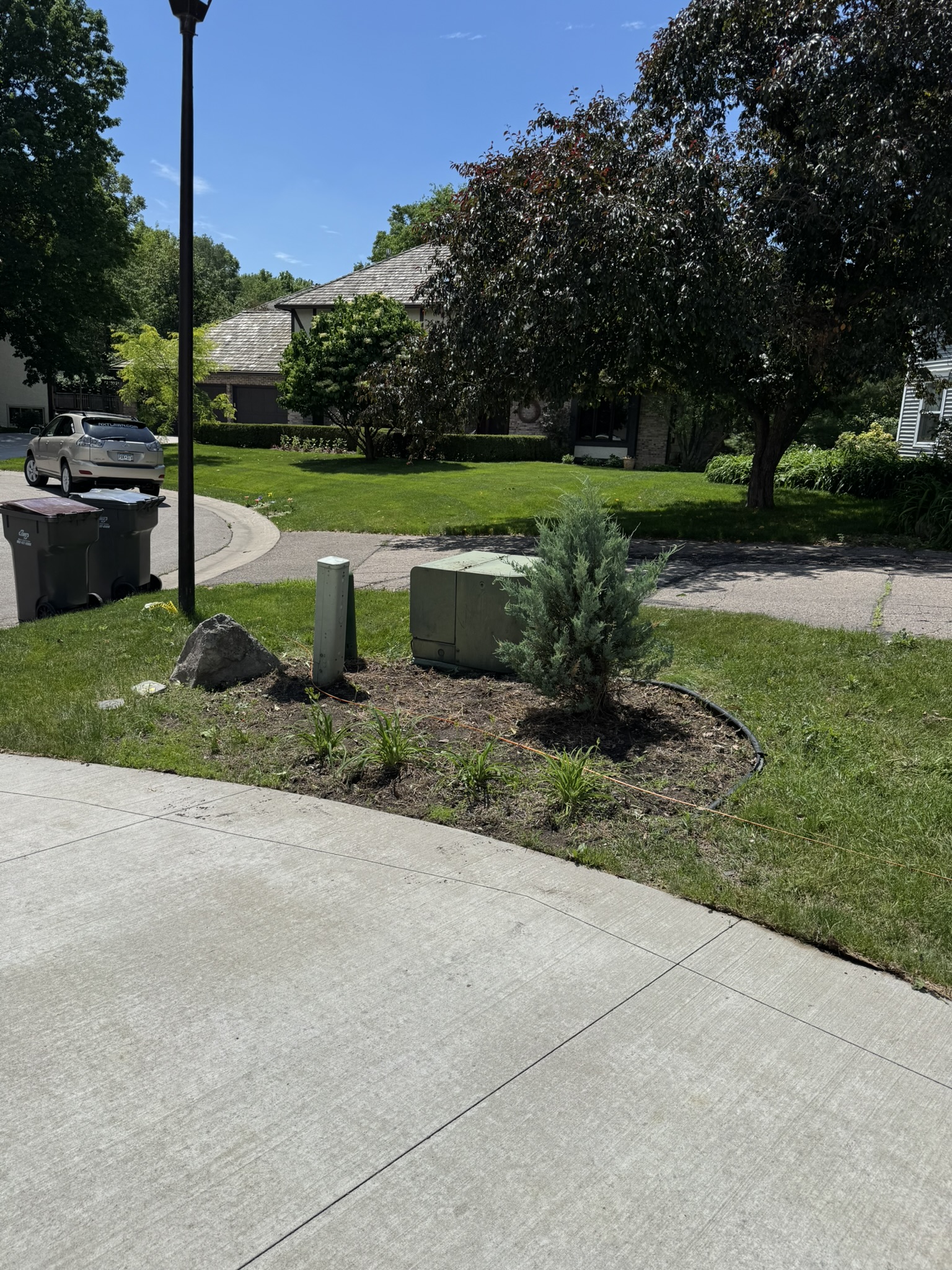 Curbside planting bed cleared and edged around a utility box and evergreen shrub